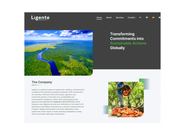 ligente_sustentavel_identidadevisual_global_carbono_agencia_comunicacao_marketing_wordpress_site-criarsite_